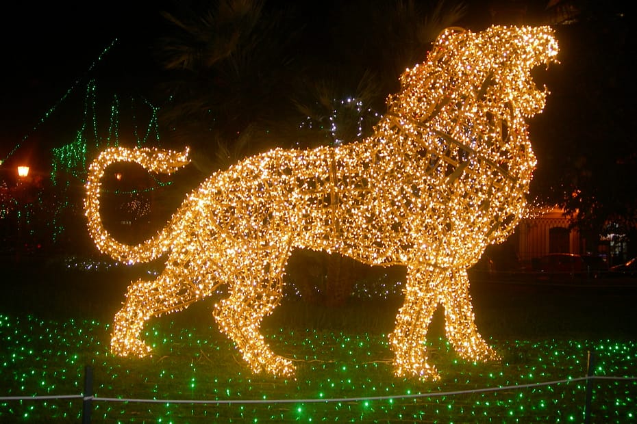 Luci d'artista a Salerno anno 2019/2020
