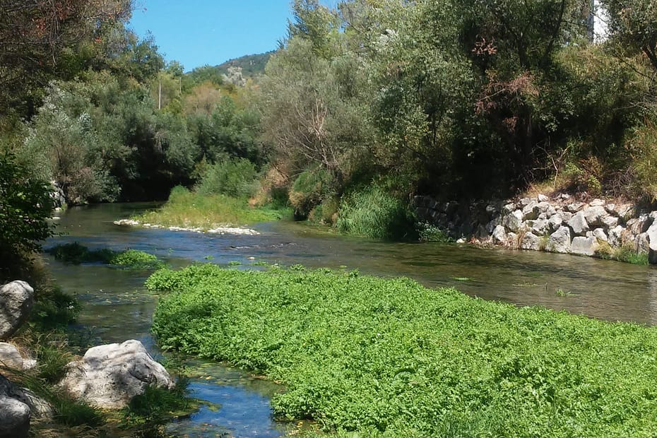 vacanze in campagna